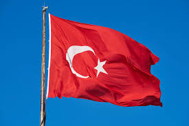 Türkiye Cumhuriyeti Hükümetine Karşı Silahlı İsyan Suçu (TCK 313)